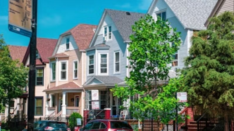 Invasive Pests in Chicago
