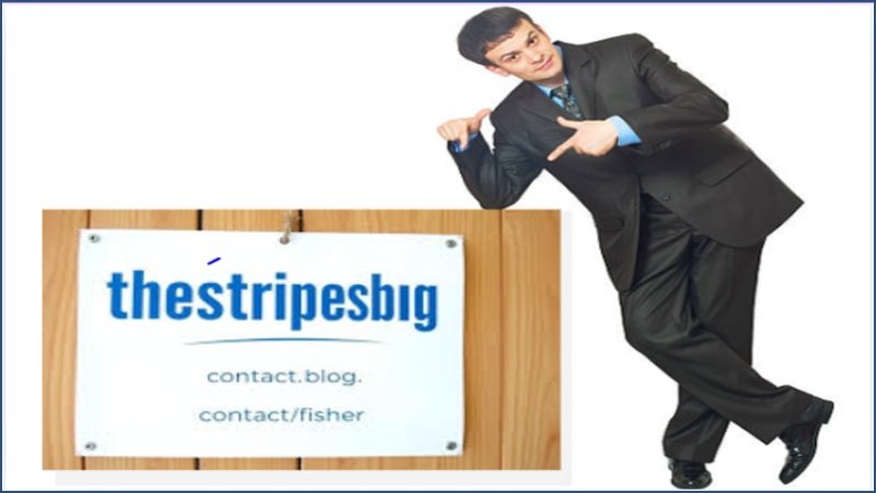 contact frank fisher thestripesblog