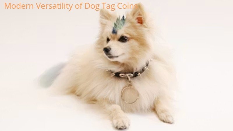 Modern Versatility of Dog Tag Coins